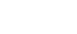 Shopify Partner